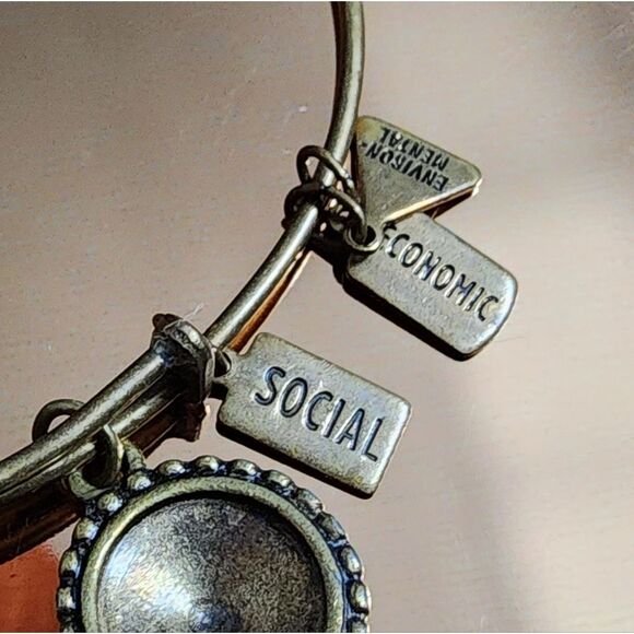 🐢 Alex and Ani Path of Symbols Expandable Bangle 2"-3.5" - Picture 2 of 7